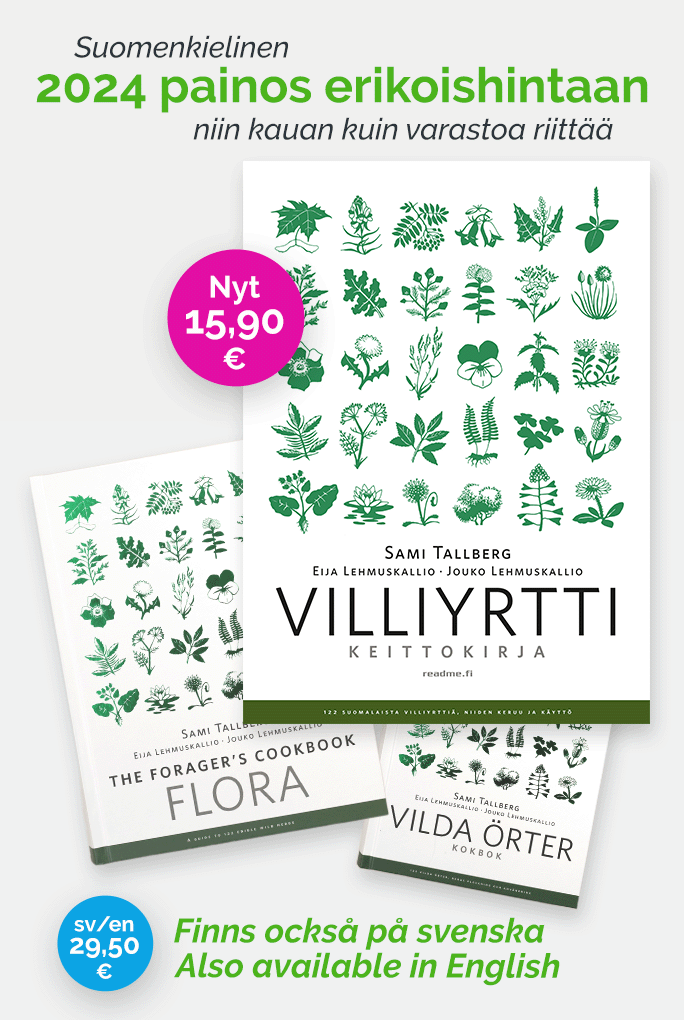Lumikko Mustela Nivalis Nis kk t LuontoPortti Lumikko Mustela Nivalis Nis kk t LuontoPortti